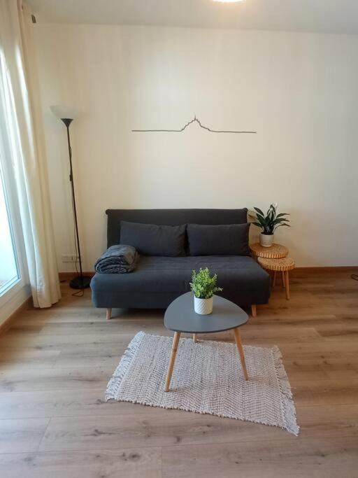 A 50 M De La Plage, Appartement De 35 M2 : Les Pieds Sales Bréhal Exteriör bild